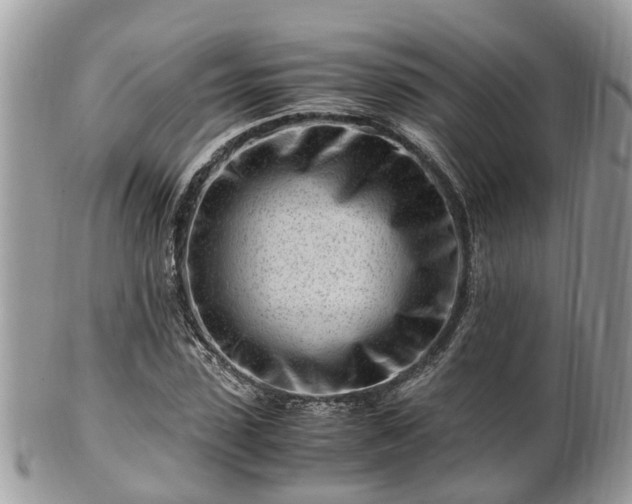 X0000101170923200807071218