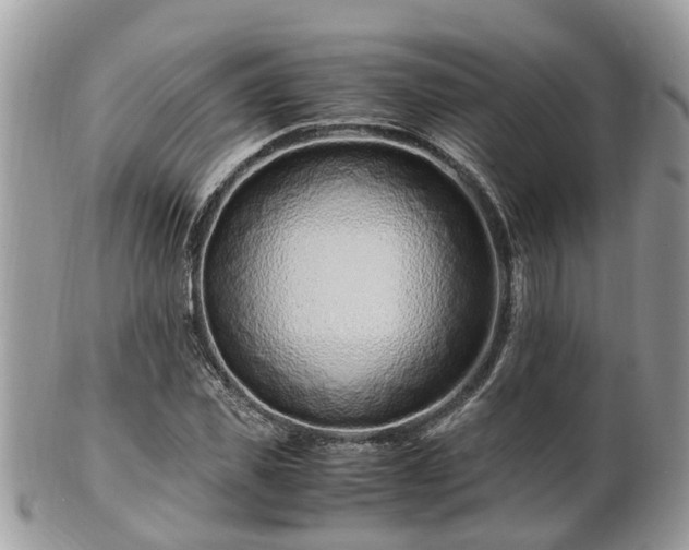 X0000101170925200807071218