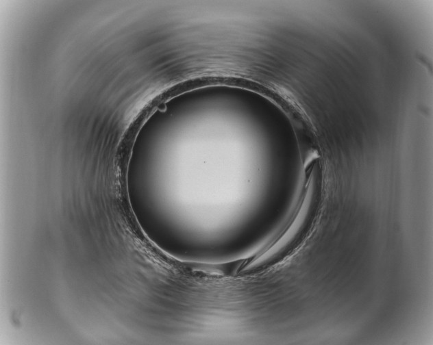 X0000101170926200807071218