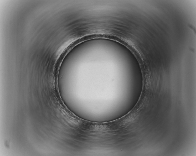X0000101170927200807071218