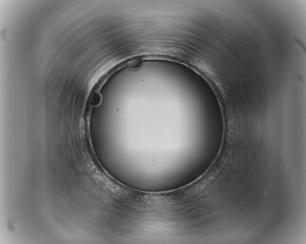 X0000101170928200807071218