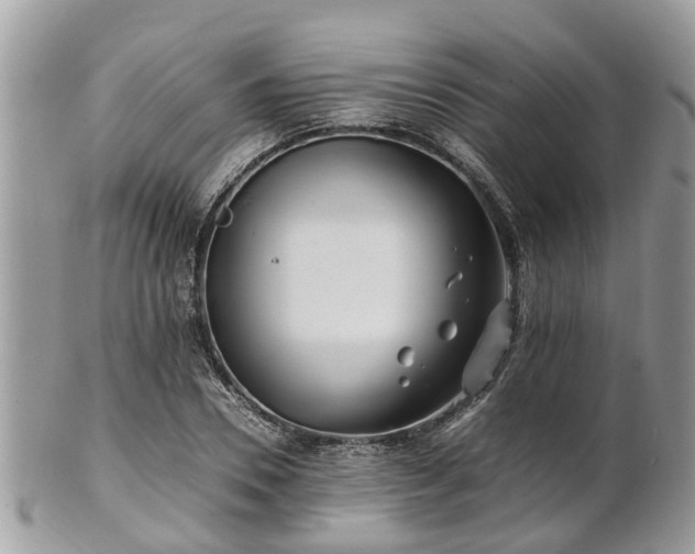 X0000101170930200807071218