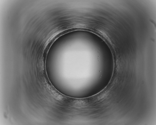 X0000101170931200807071218