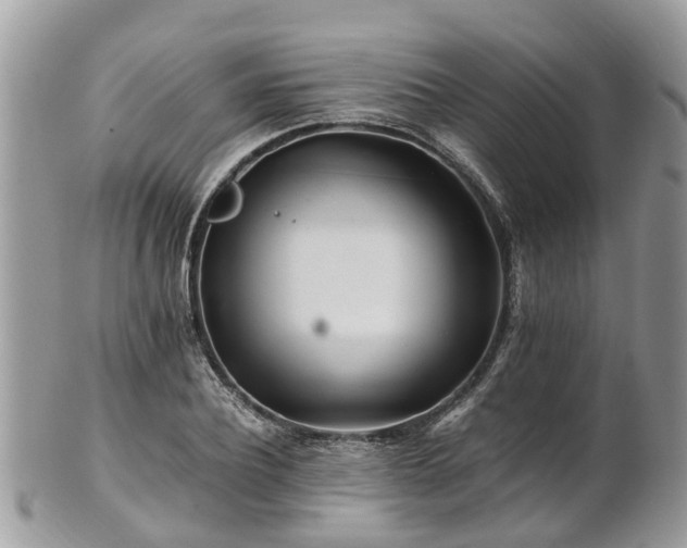 X0000101170932200807071218