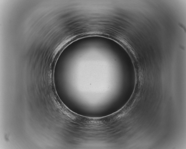 X0000101170933200807071218