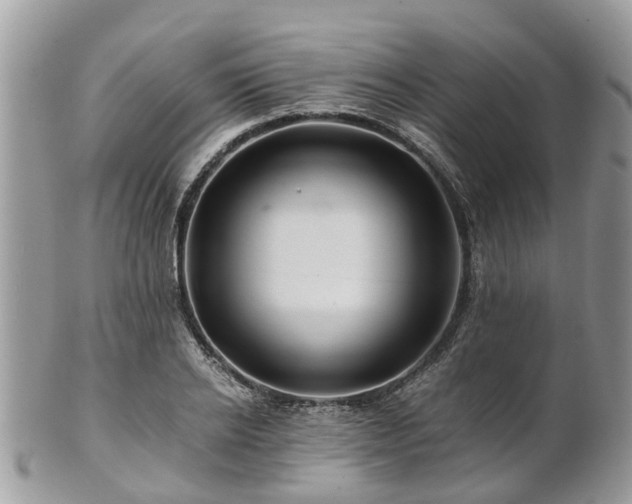 X0000101170934200807071218