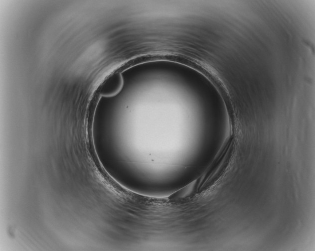 X0000101170935200807071218