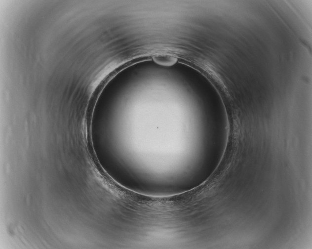 X0000101170936200807071218