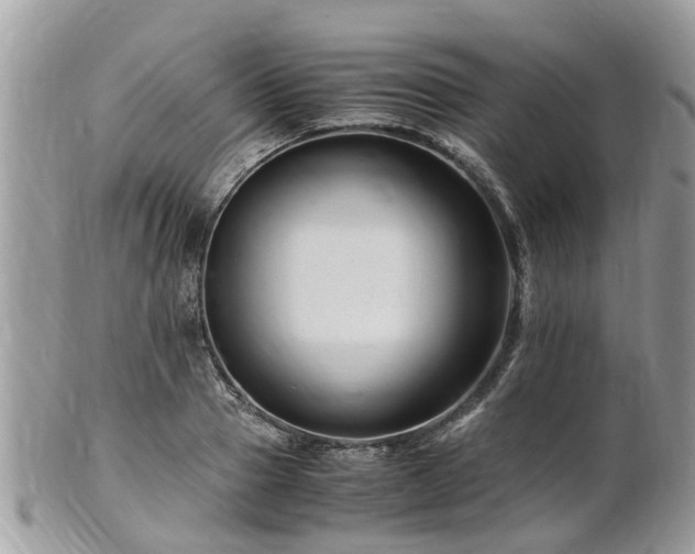 X0000101170937200807071218