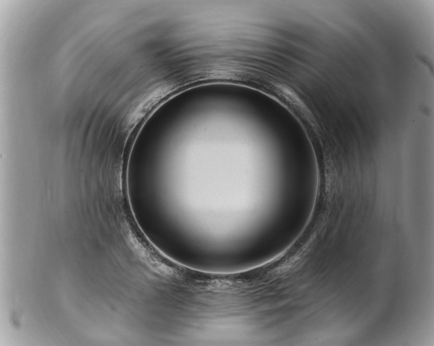 X0000101170938200807071218