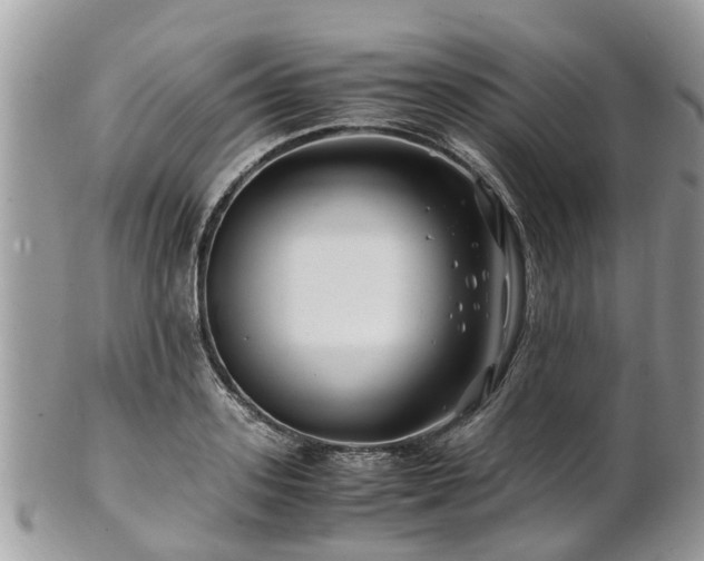 X0000101170939200807071218