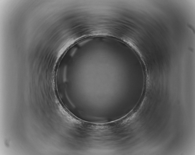 X0000101170941200807071218