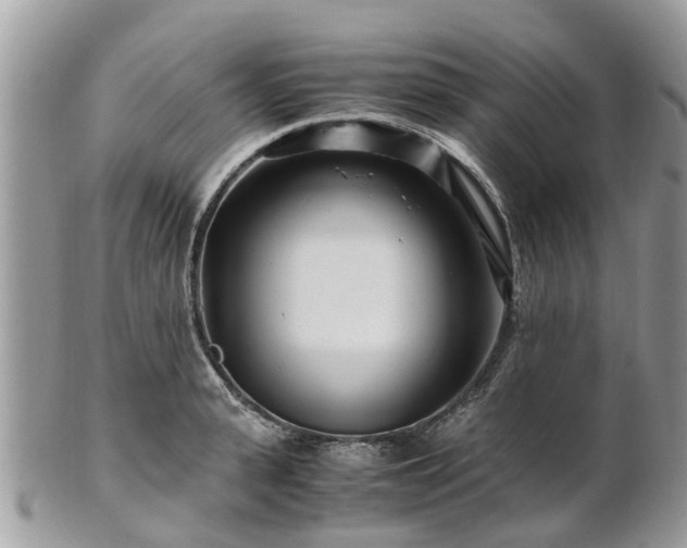X0000101170943200807071218