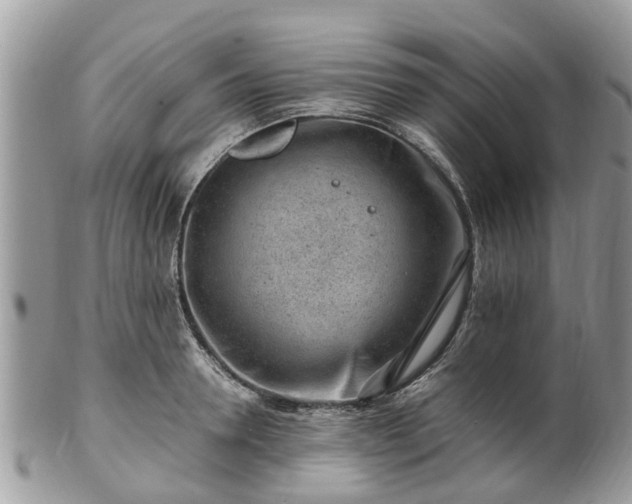 X0000101170946200807071218