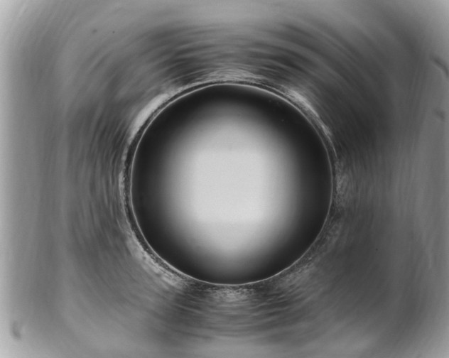 X0000101170947200807071218