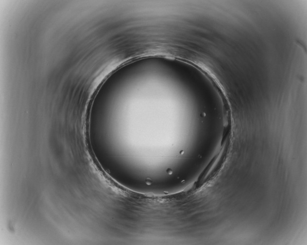 X0000101170949200807071218