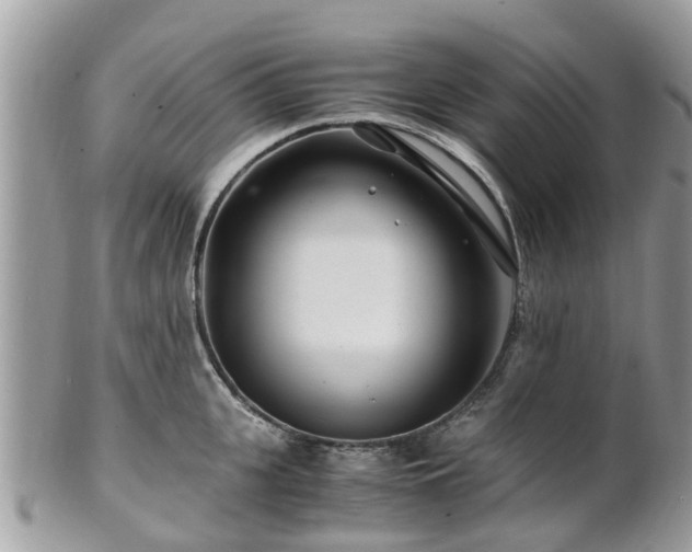 X0000101170951200807071218