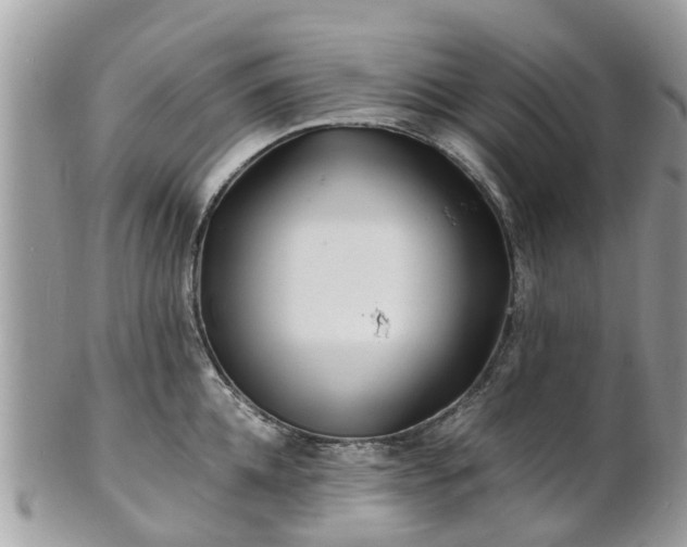 X0000101170952200807071218