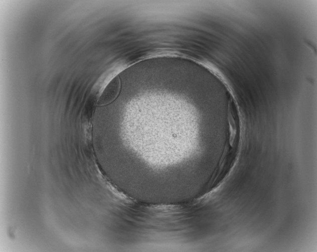 X0000101170953200807071218