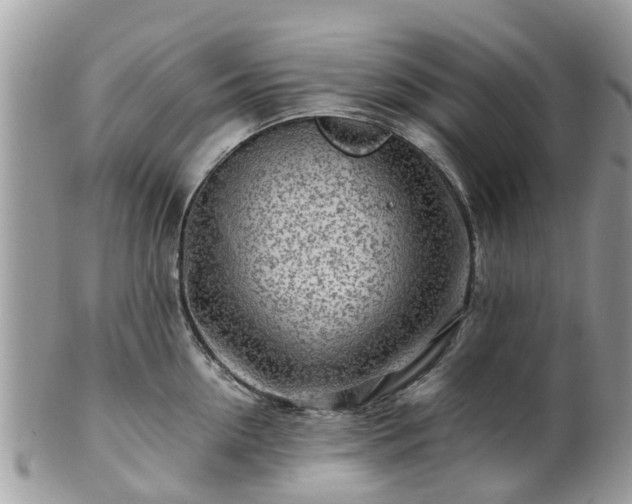 X0000101170954200807071218