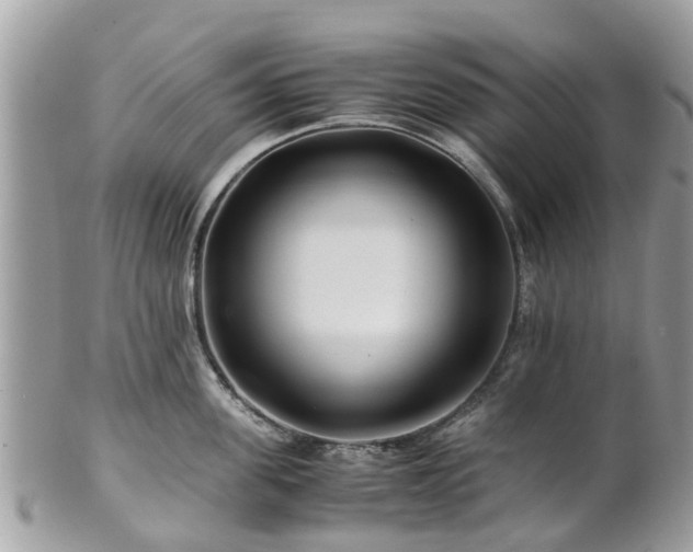 X0000101170955200807071218