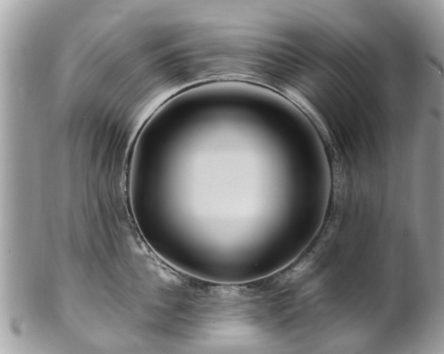 X0000101170956200807071218