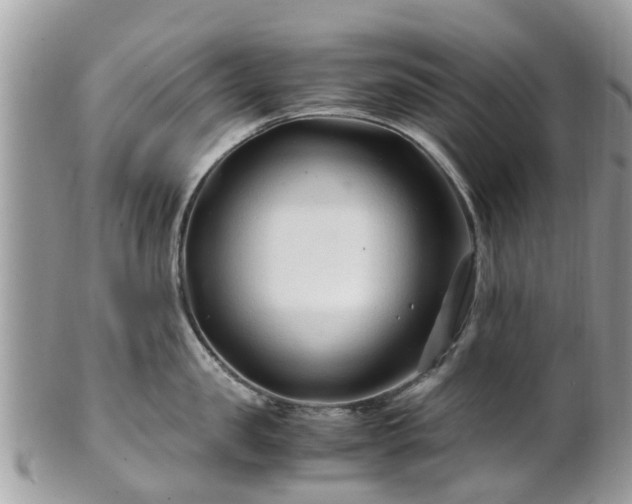 X0000101170957200807071218