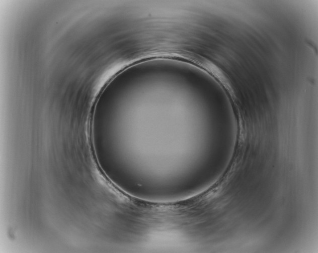 X0000101170958200807071218