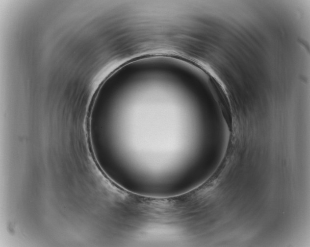 X0000101170959200807071218