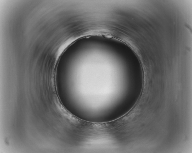 X0000101170960200807071218
