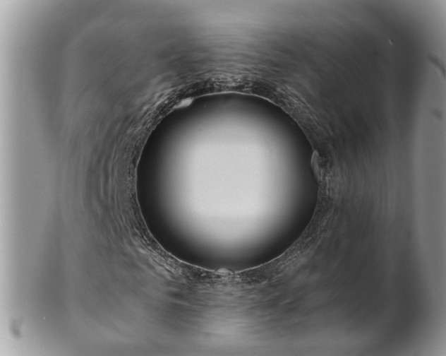 X0000101170961200807071218