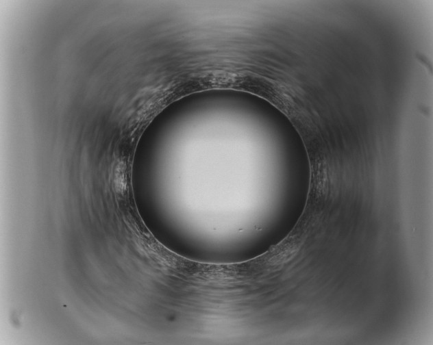X0000101170962200807071218