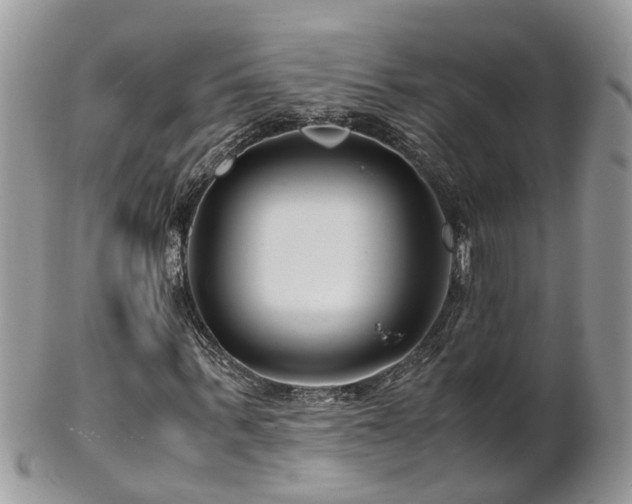 X0000101170963200807071218
