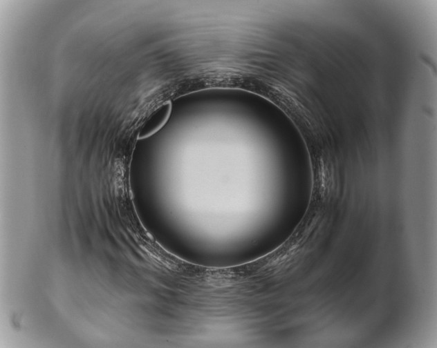 X0000101170964200807071218