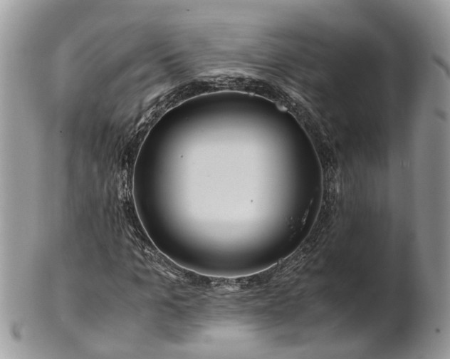 X0000101170965200807071218