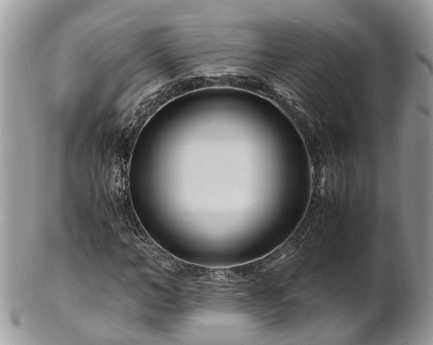 X0000101170966200807071218