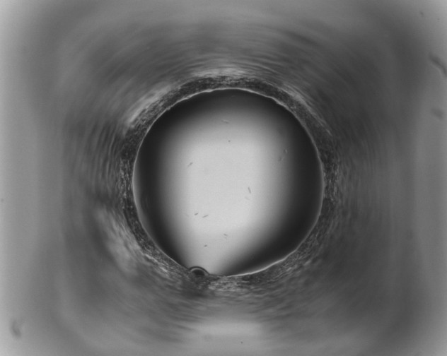 X0000101170967200807071218