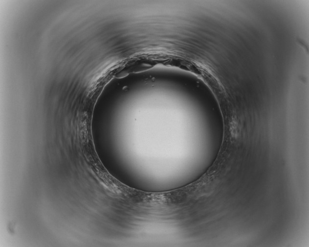 X0000101170968200807071218