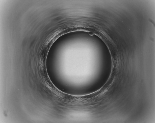 X0000101170969200807071218