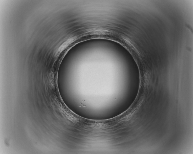 X0000101170970200807071218