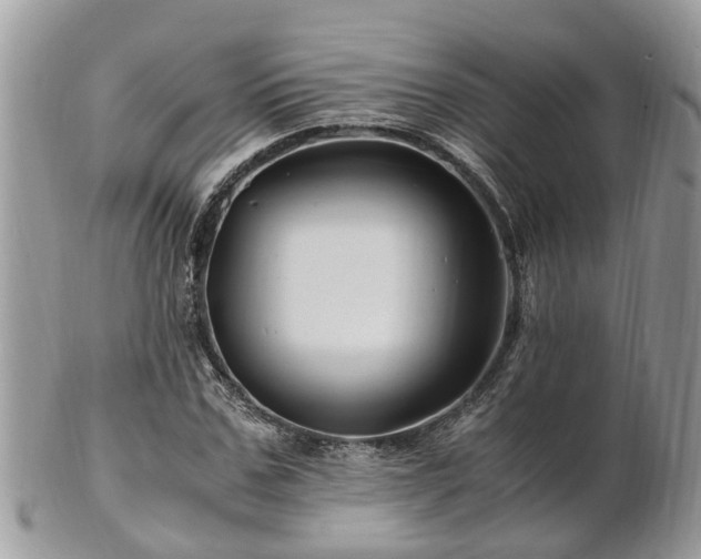 X0000101170971200807071218