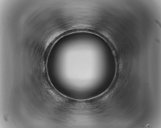 X0000101170973200807071218