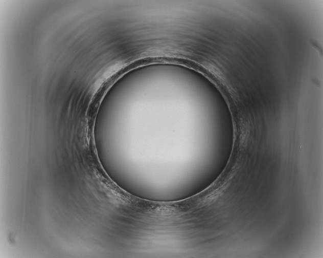 X0000101170974200807071218