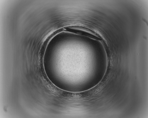 X0000101170975200807071217