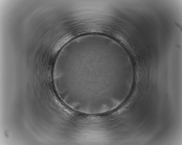 X0000101170977200807071217