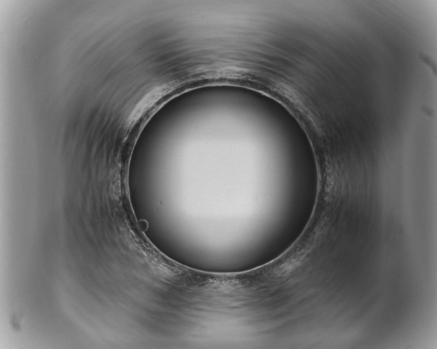 X0000101170978200807071217