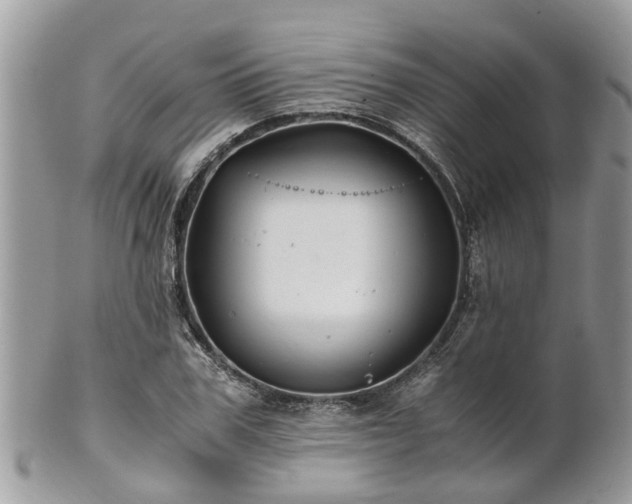 X0000101170979200807071217