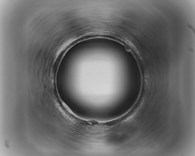 X0000101170981200807071217