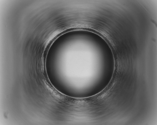 X0000101170982200807071217
