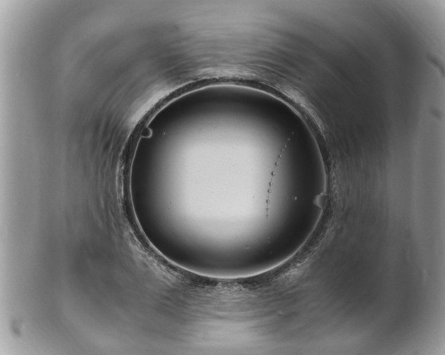 X0000101170983200807071217
